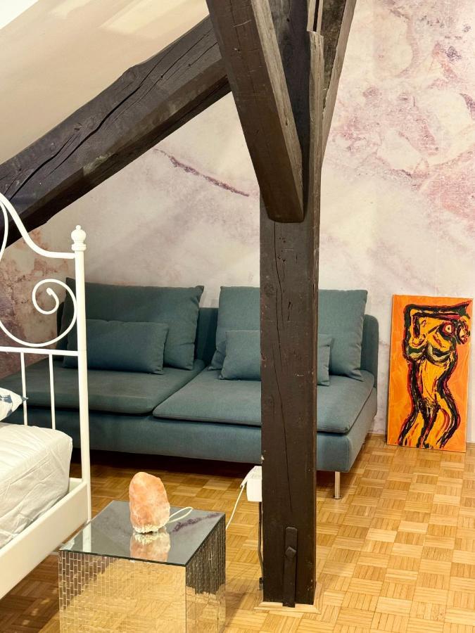 The Rooftop Apartment Λιουμπλιάνα Εξωτερικό φωτογραφία