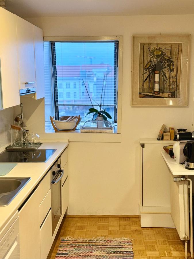 The Rooftop Apartment Λιουμπλιάνα Εξωτερικό φωτογραφία